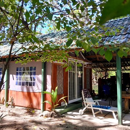 Fully Furnished Family Jungle Tent, Latino Glamping باكيرا المظهر الخارجي الصورة