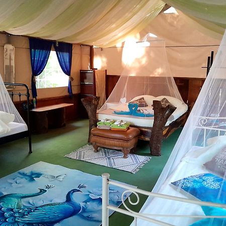 Fully Furnished Family Jungle Tent, Latino Glamping باكيرا المظهر الخارجي الصورة