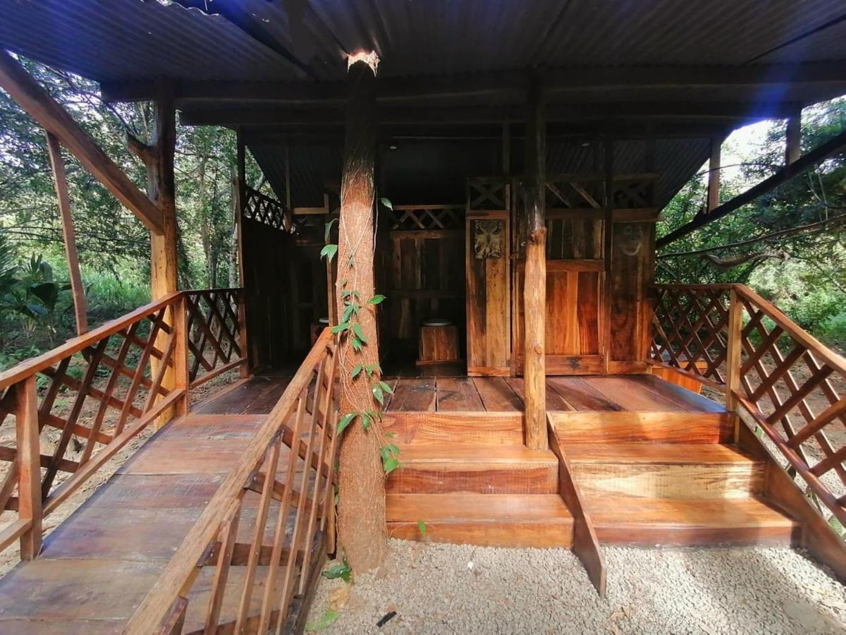 Fully Furnished Family Jungle Tent, Latino Glamping باكيرا المظهر الخارجي الصورة