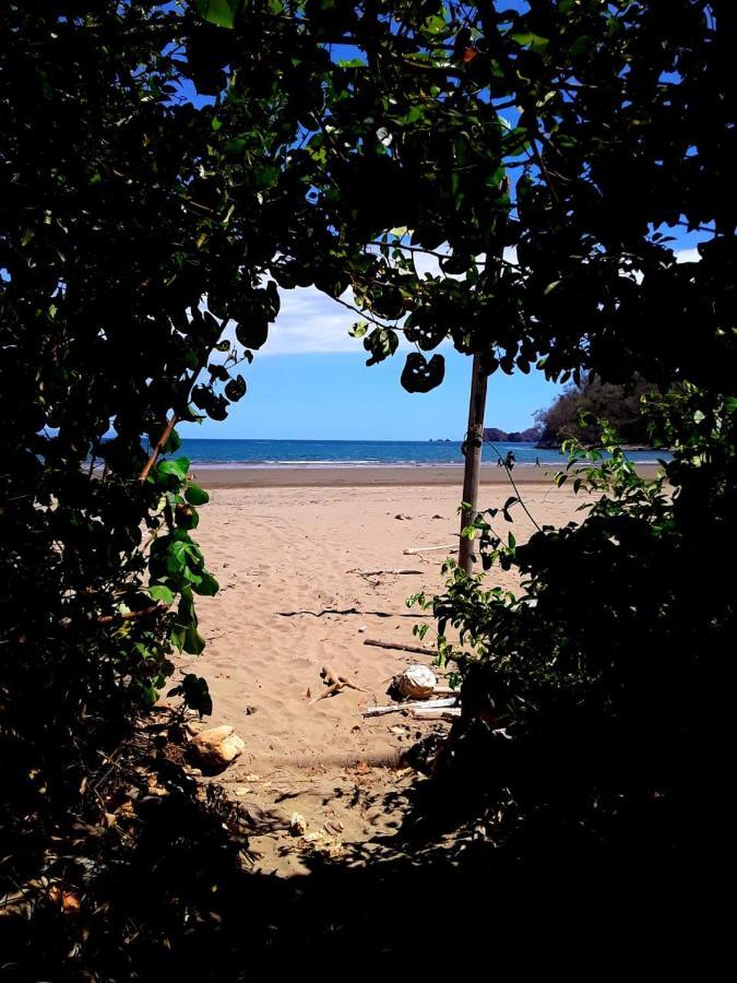 Fully Furnished Family Jungle Tent, Latino Glamping باكيرا المظهر الخارجي الصورة