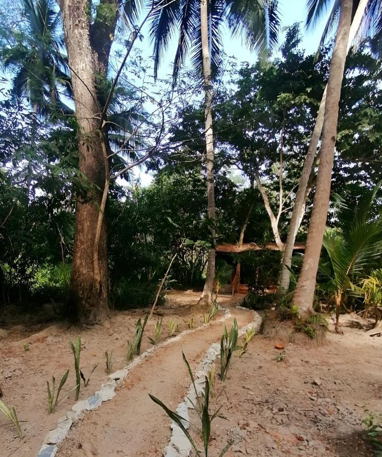 Fully Furnished Family Jungle Tent, Latino Glamping باكيرا المظهر الخارجي الصورة