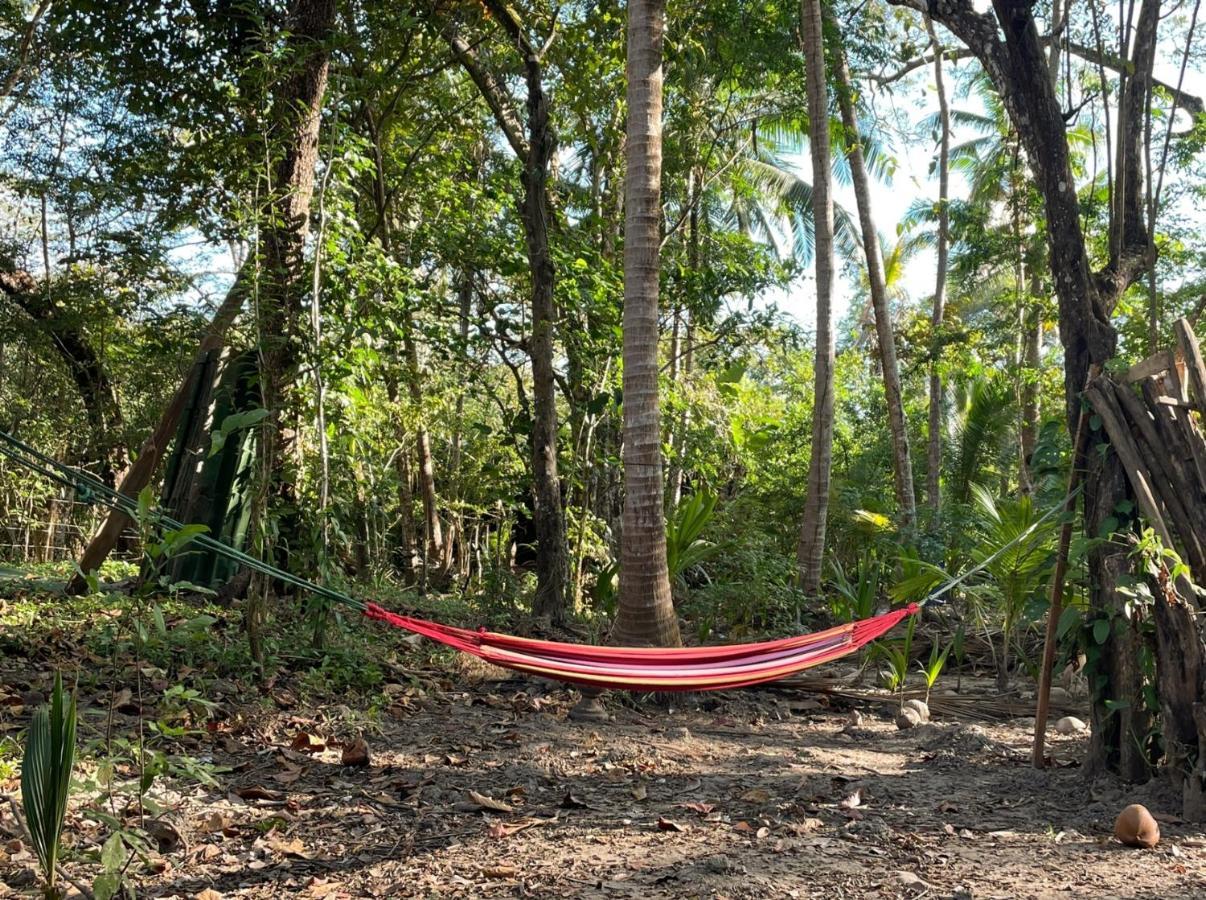 Fully Furnished Family Jungle Tent, Latino Glamping باكيرا المظهر الخارجي الصورة