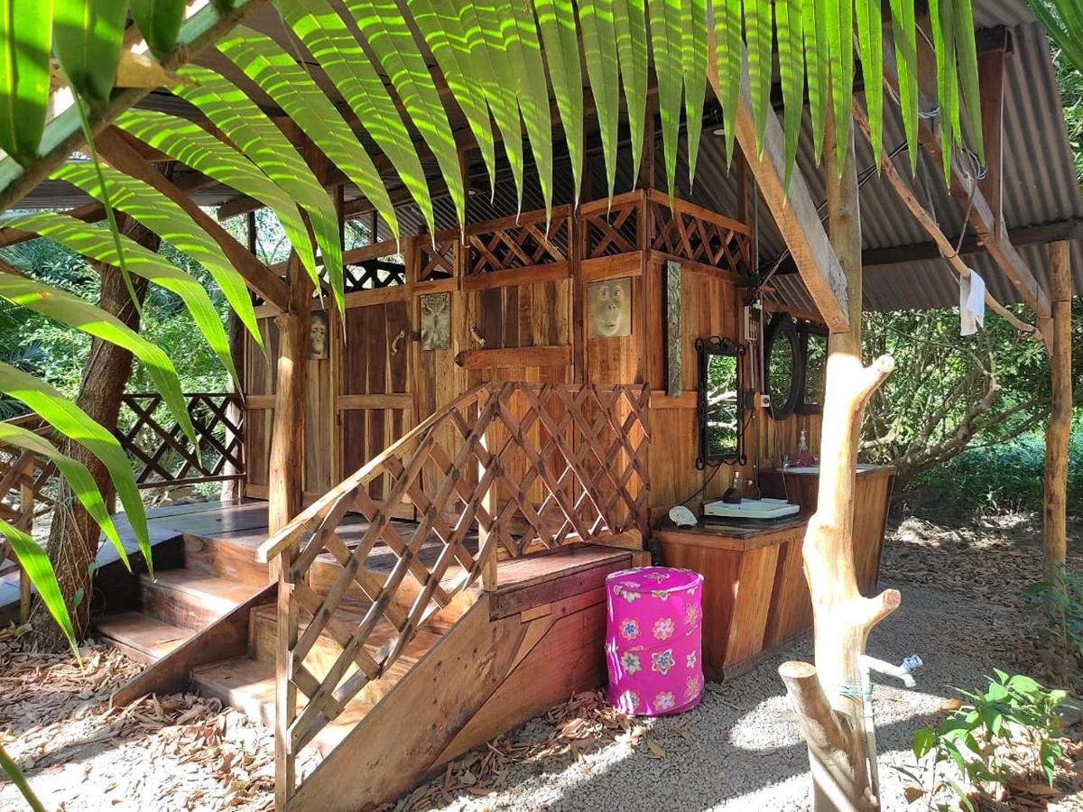Fully Furnished Family Jungle Tent, Latino Glamping باكيرا المظهر الخارجي الصورة