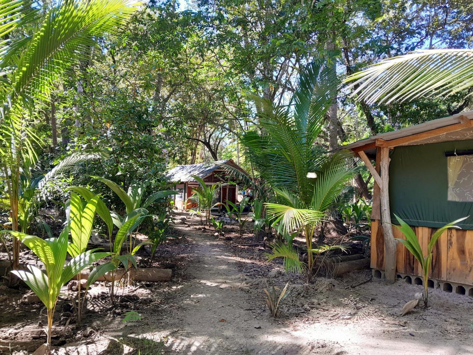 Fully Furnished Family Jungle Tent, Latino Glamping باكيرا المظهر الخارجي الصورة