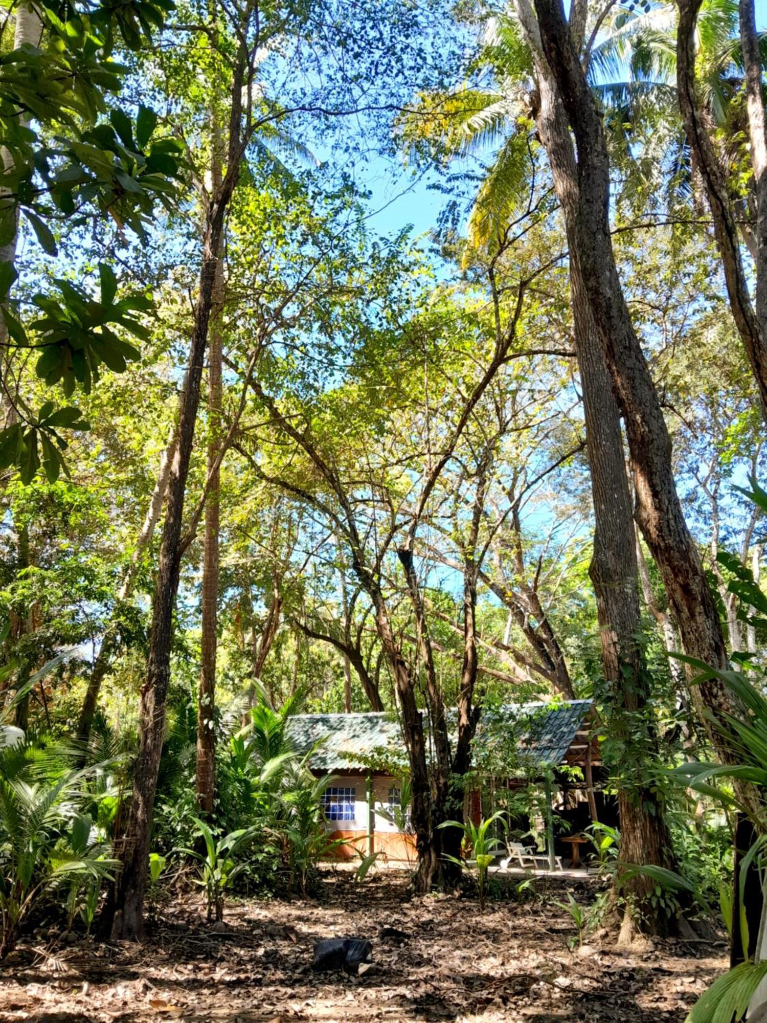 Fully Furnished Family Jungle Tent, Latino Glamping باكيرا المظهر الخارجي الصورة