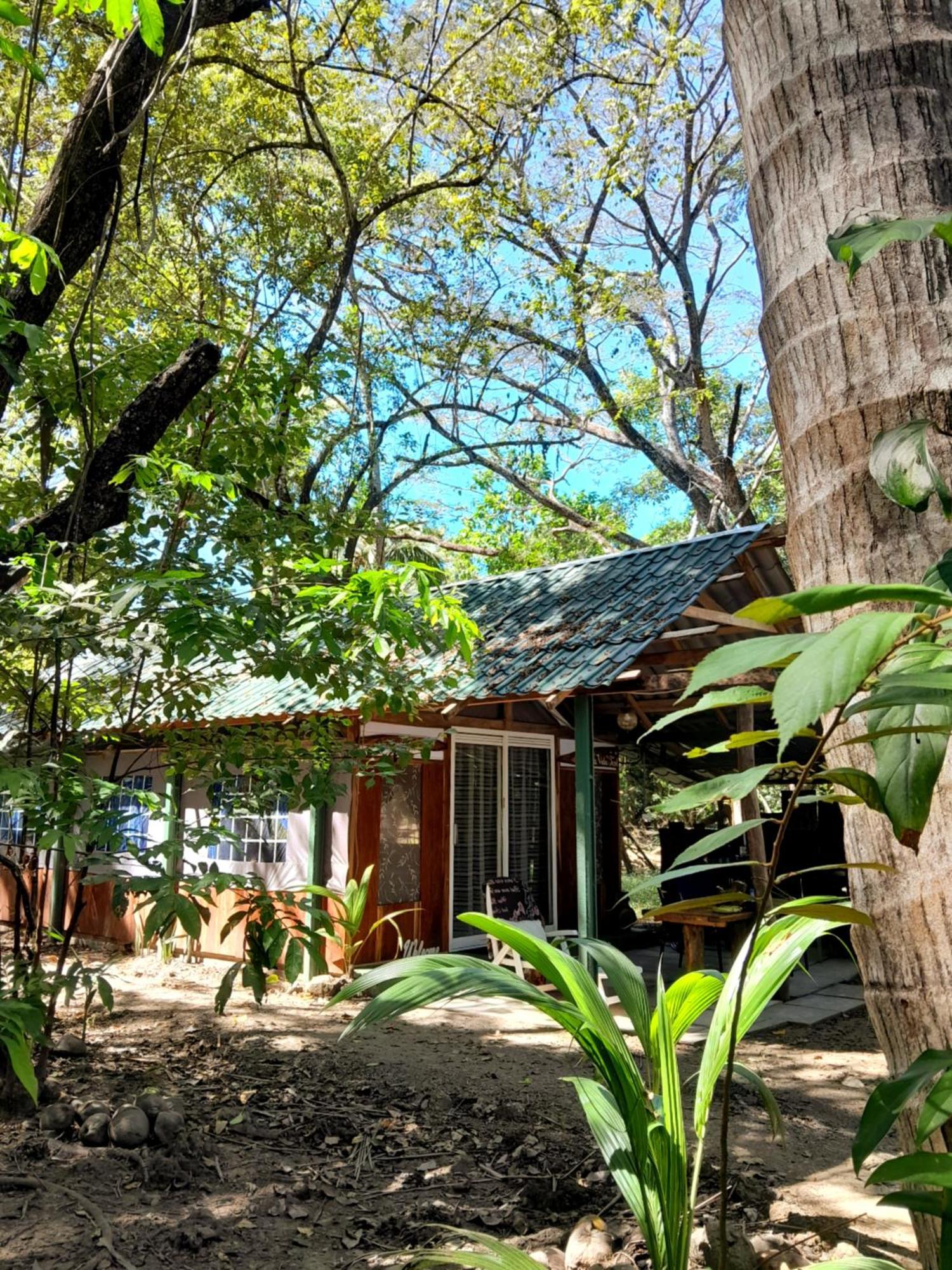 Fully Furnished Family Jungle Tent, Latino Glamping باكيرا المظهر الخارجي الصورة
