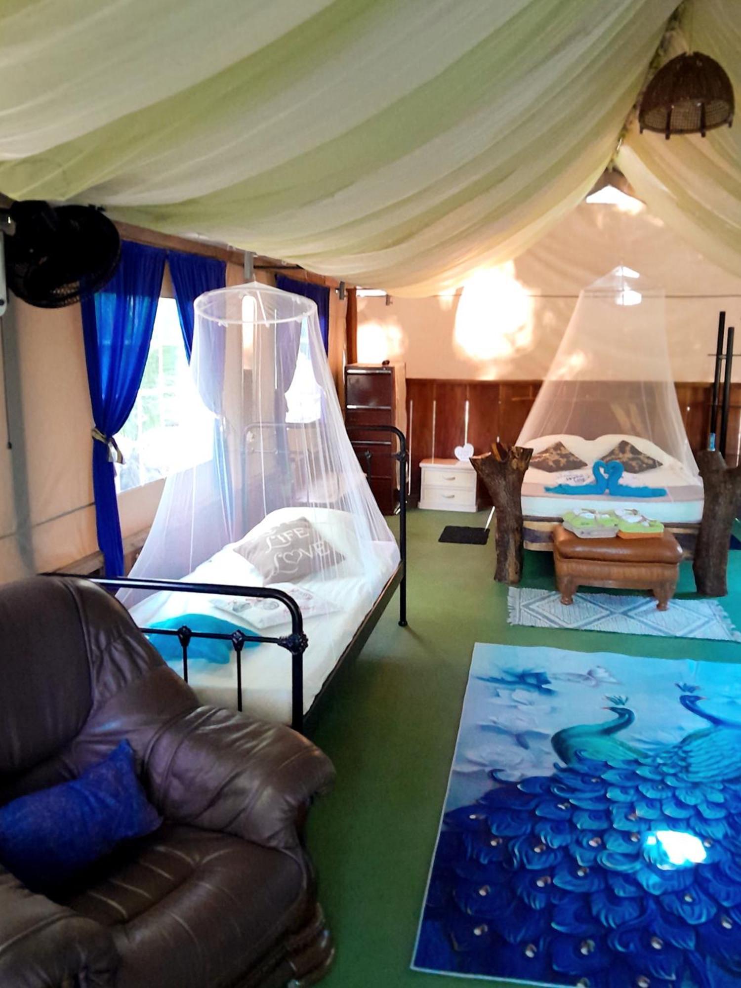 Fully Furnished Family Jungle Tent, Latino Glamping باكيرا المظهر الخارجي الصورة