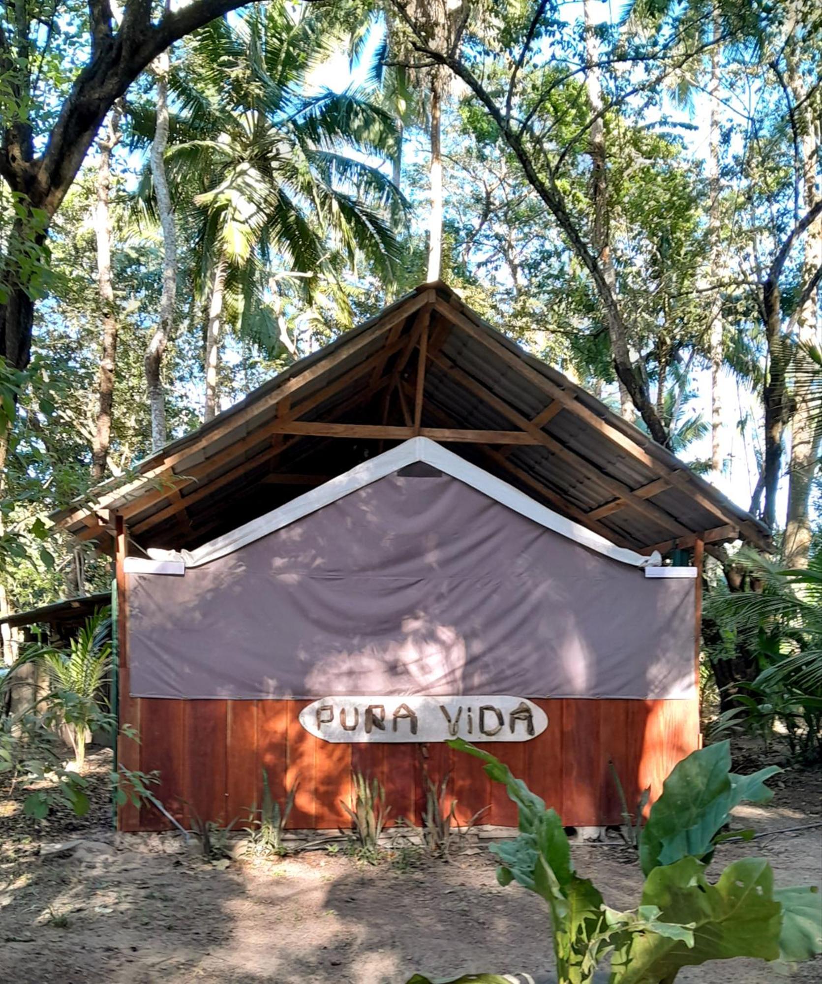 Fully Furnished Family Jungle Tent, Latino Glamping باكيرا المظهر الخارجي الصورة