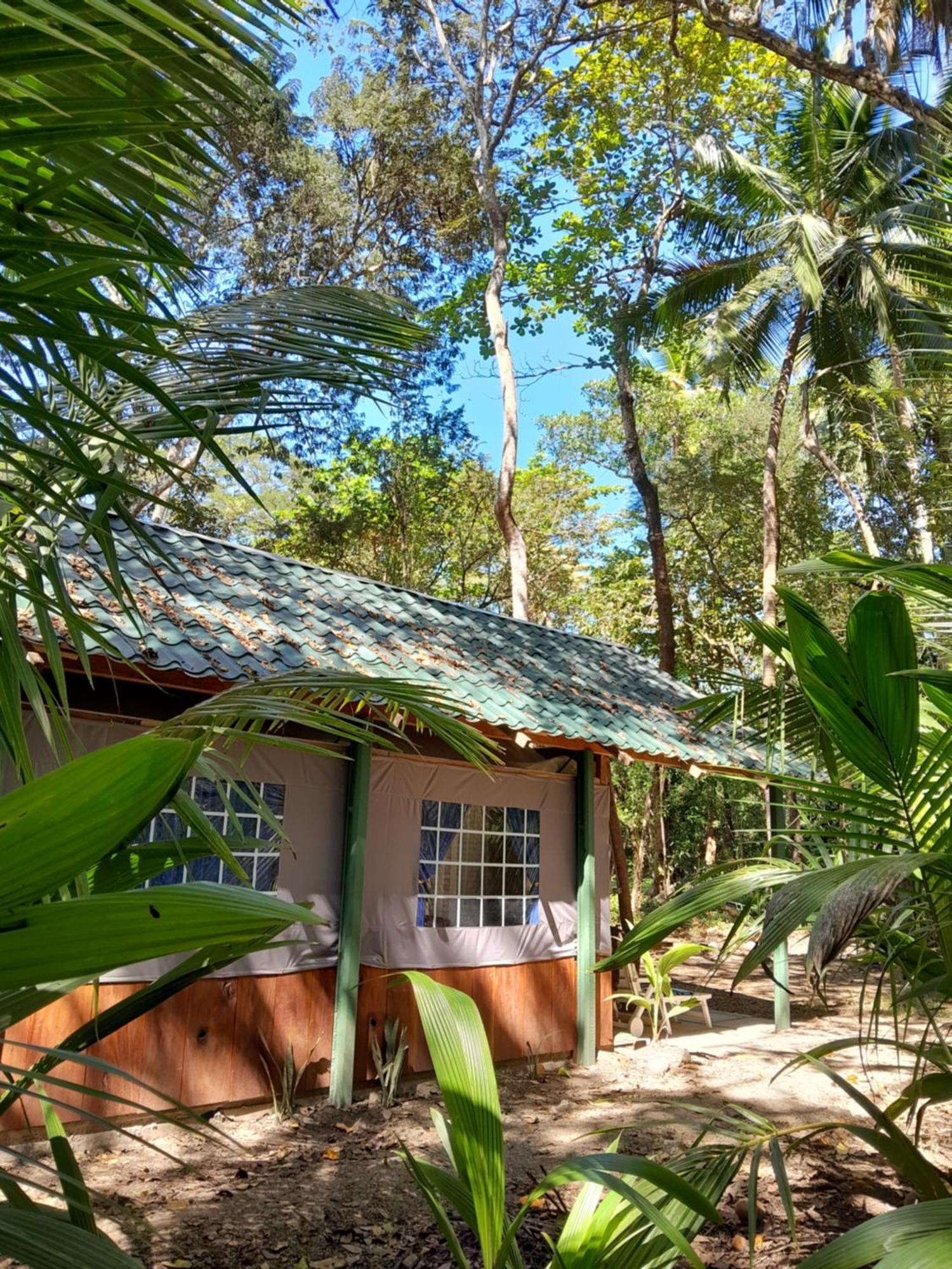 Fully Furnished Family Jungle Tent, Latino Glamping باكيرا المظهر الخارجي الصورة
