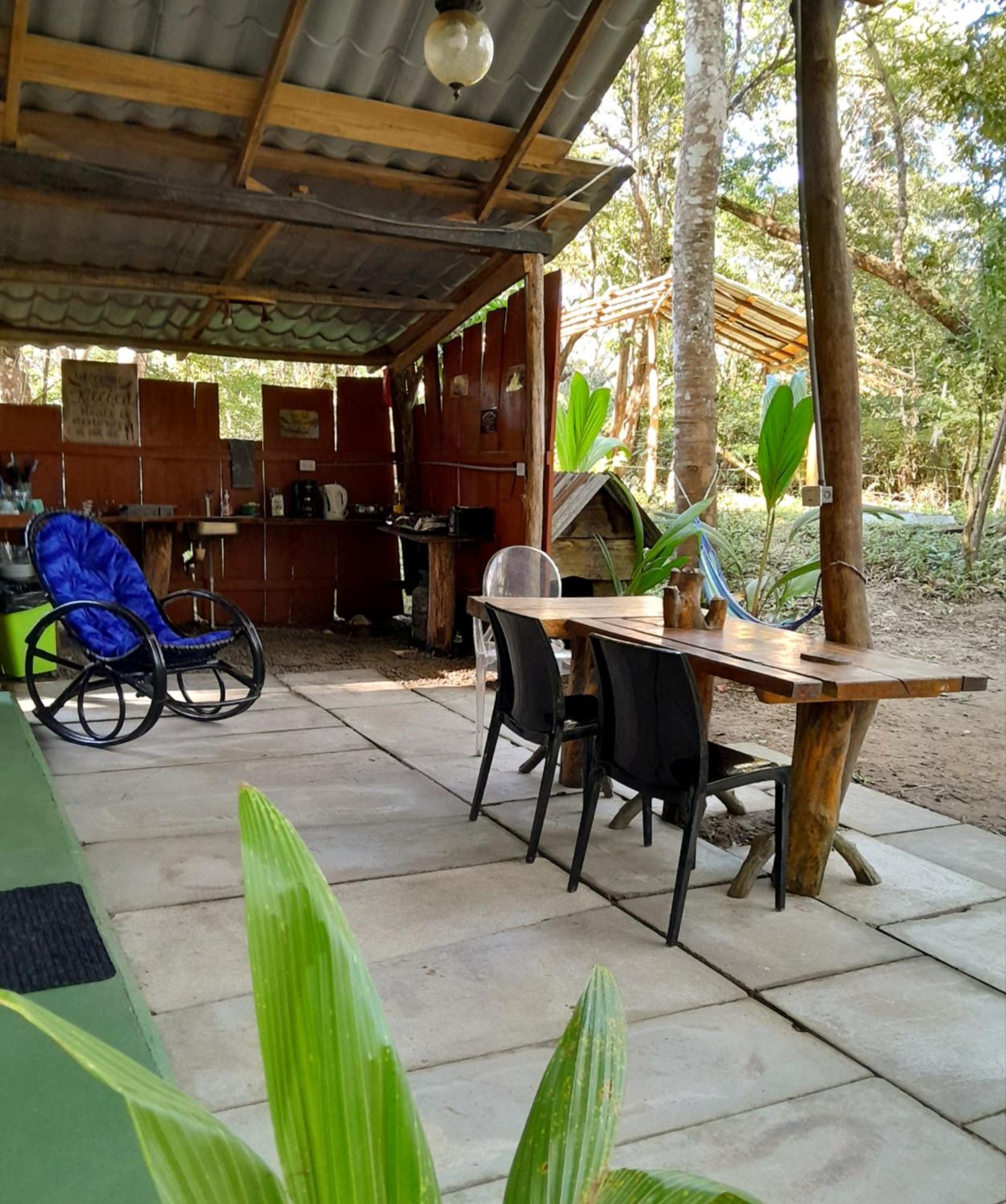 Fully Furnished Family Jungle Tent, Latino Glamping باكيرا المظهر الخارجي الصورة