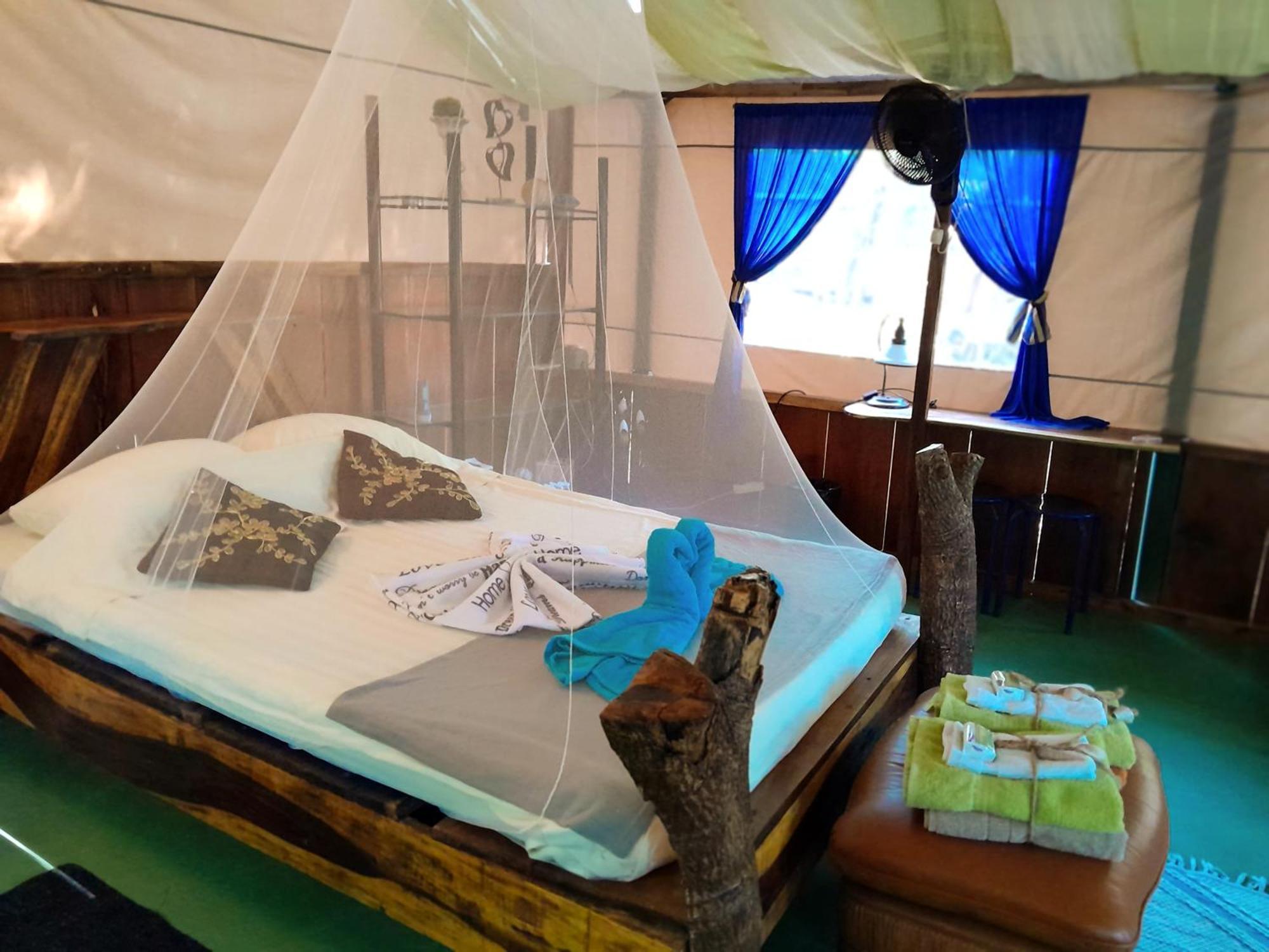 Fully Furnished Family Jungle Tent, Latino Glamping باكيرا المظهر الخارجي الصورة
