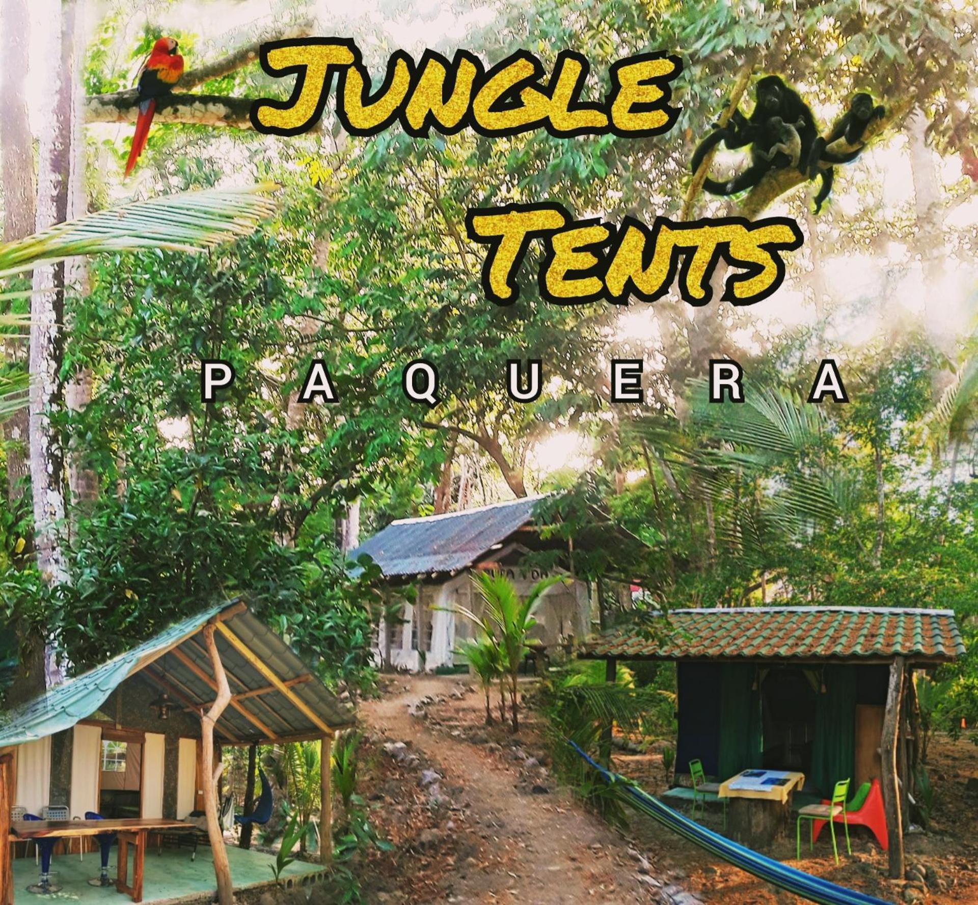 Fully Furnished Family Jungle Tent, Latino Glamping باكيرا المظهر الخارجي الصورة