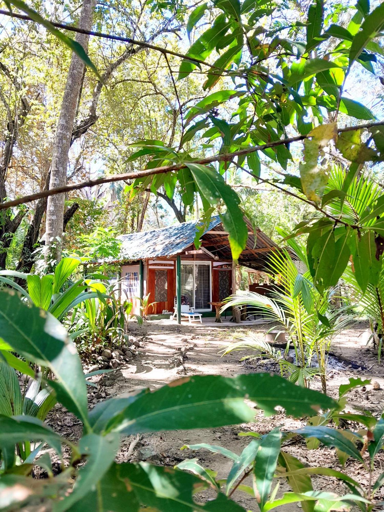 Fully Furnished Family Jungle Tent, Latino Glamping باكيرا المظهر الخارجي الصورة