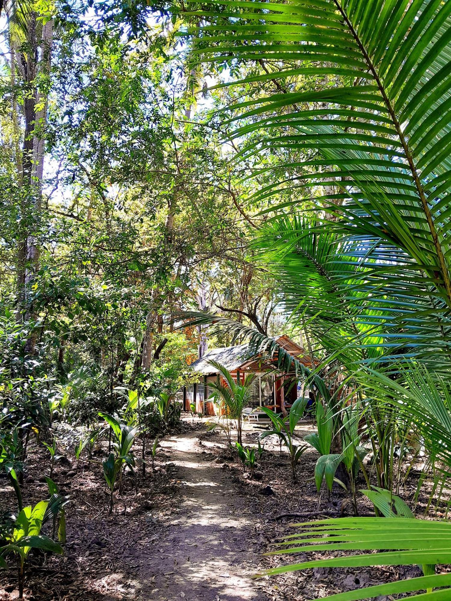Fully Furnished Family Jungle Tent, Latino Glamping باكيرا المظهر الخارجي الصورة