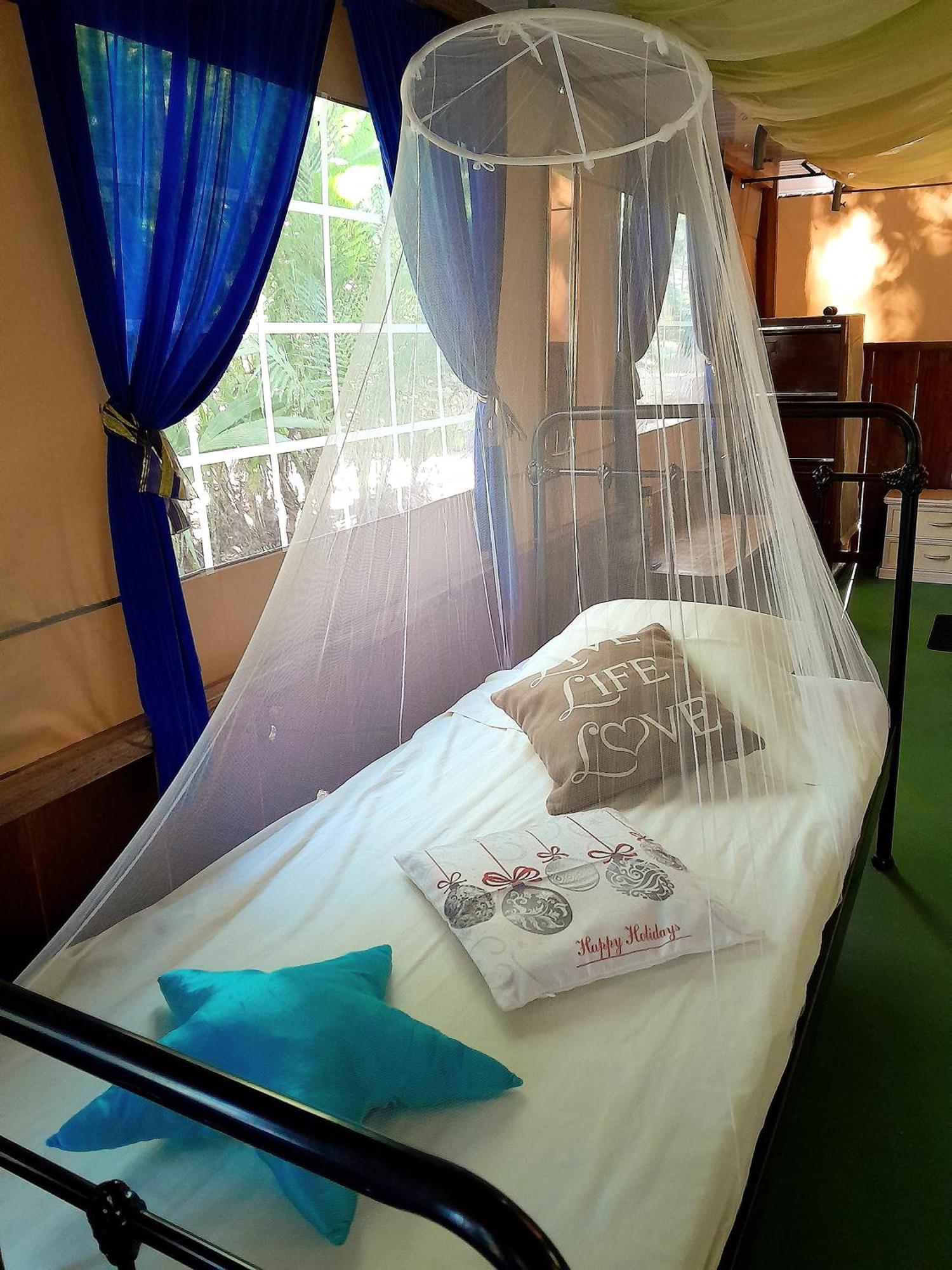 Fully Furnished Family Jungle Tent, Latino Glamping باكيرا المظهر الخارجي الصورة
