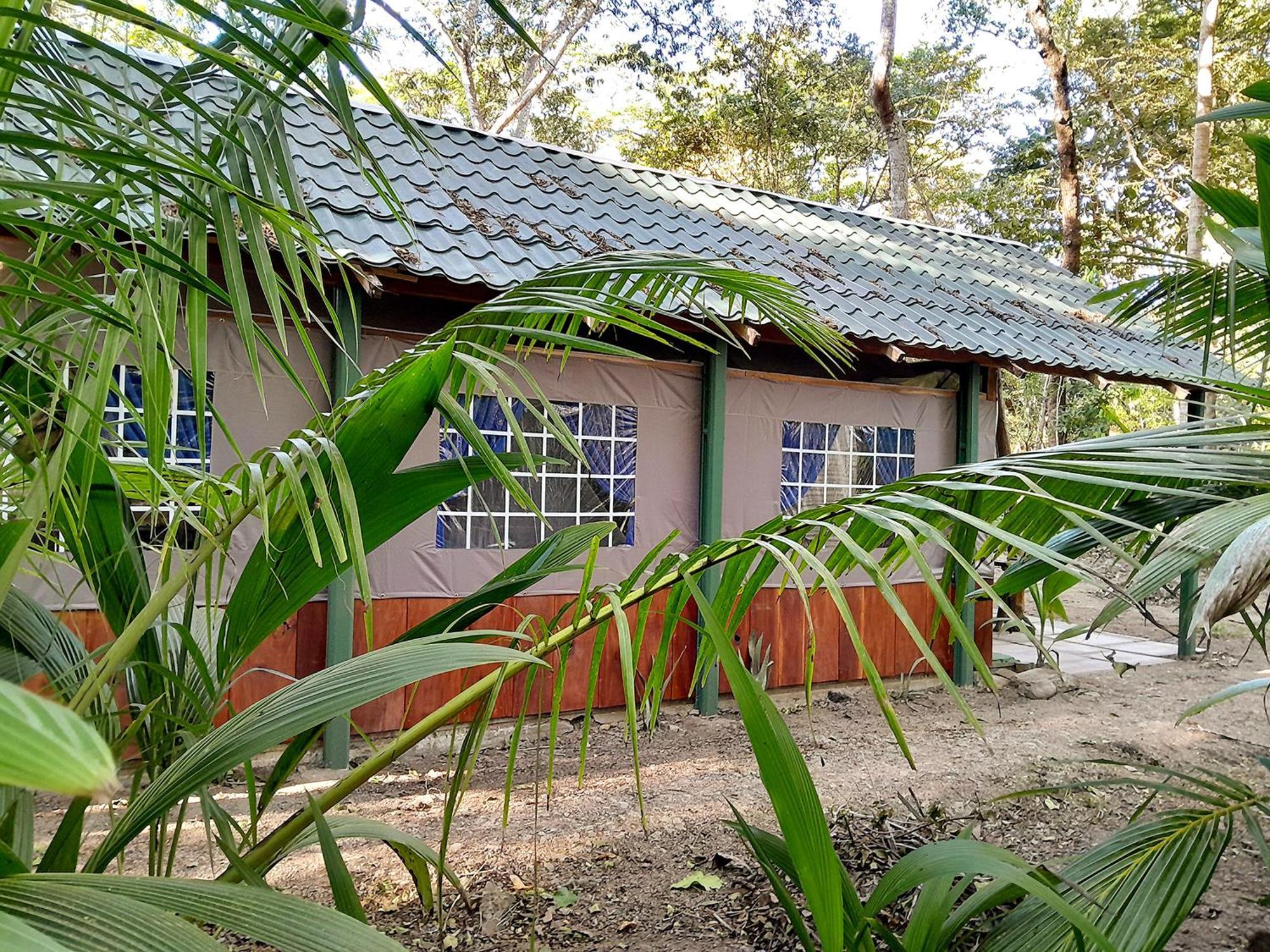 Fully Furnished Family Jungle Tent, Latino Glamping باكيرا المظهر الخارجي الصورة