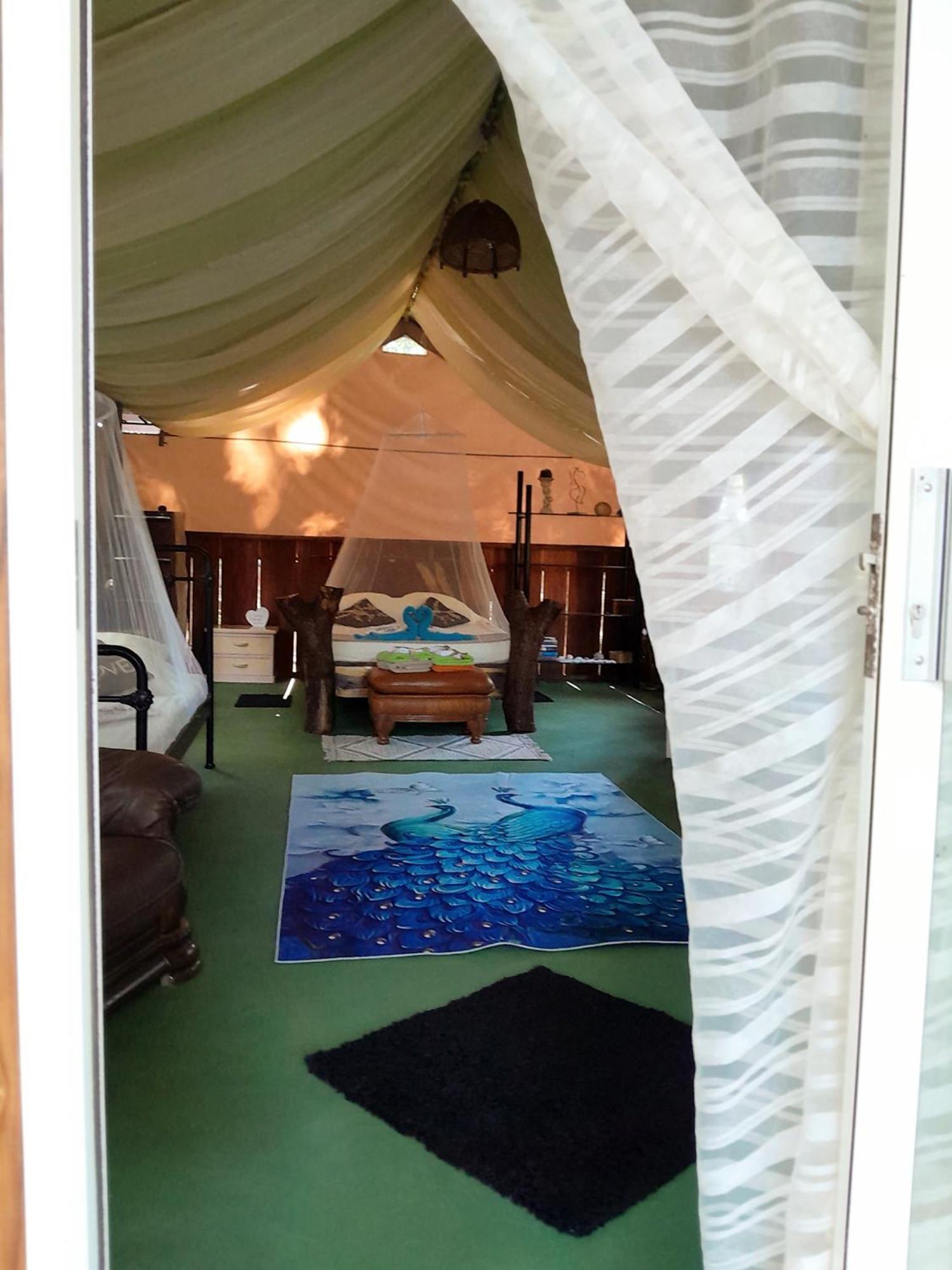 Fully Furnished Family Jungle Tent, Latino Glamping باكيرا المظهر الخارجي الصورة