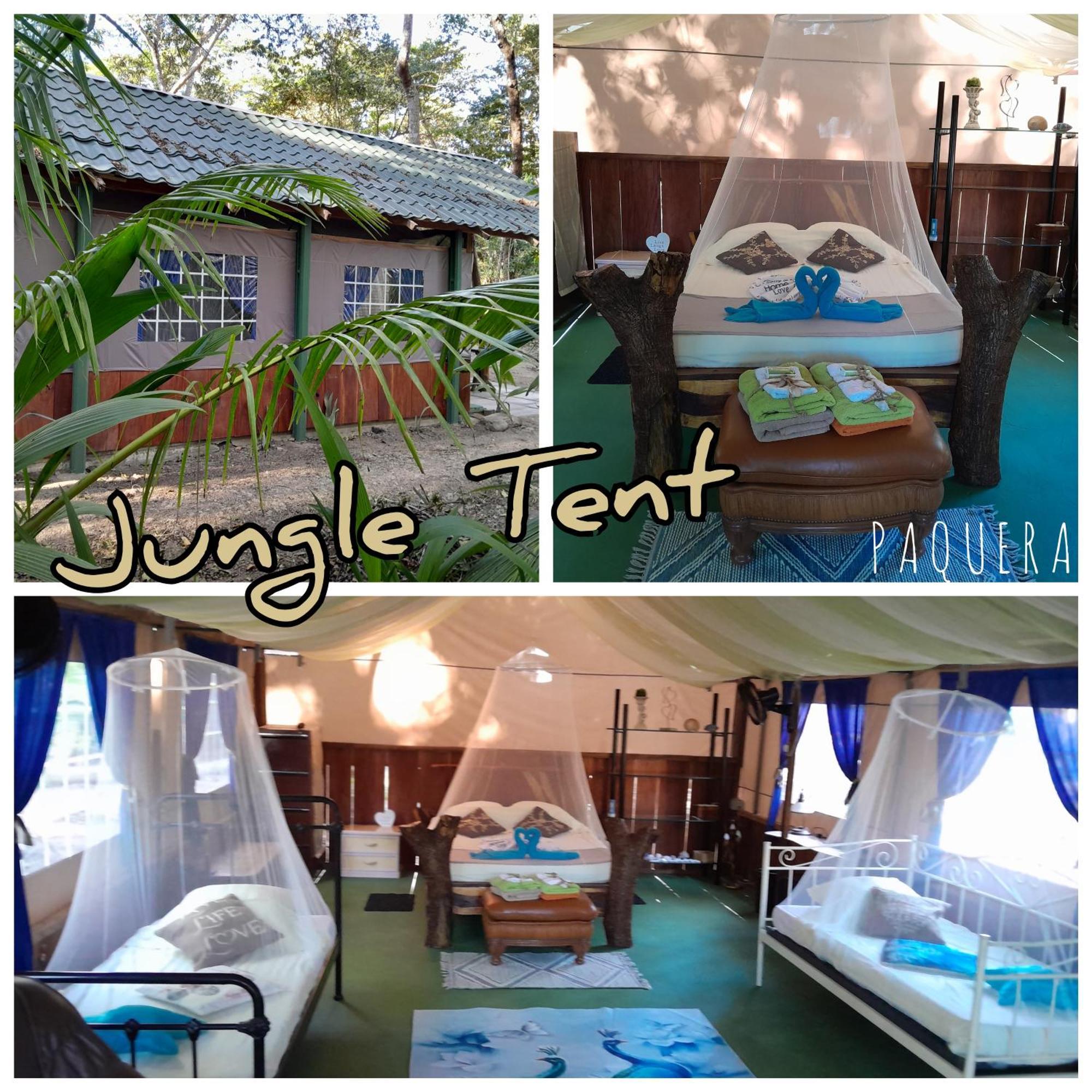 Fully Furnished Family Jungle Tent, Latino Glamping باكيرا المظهر الخارجي الصورة