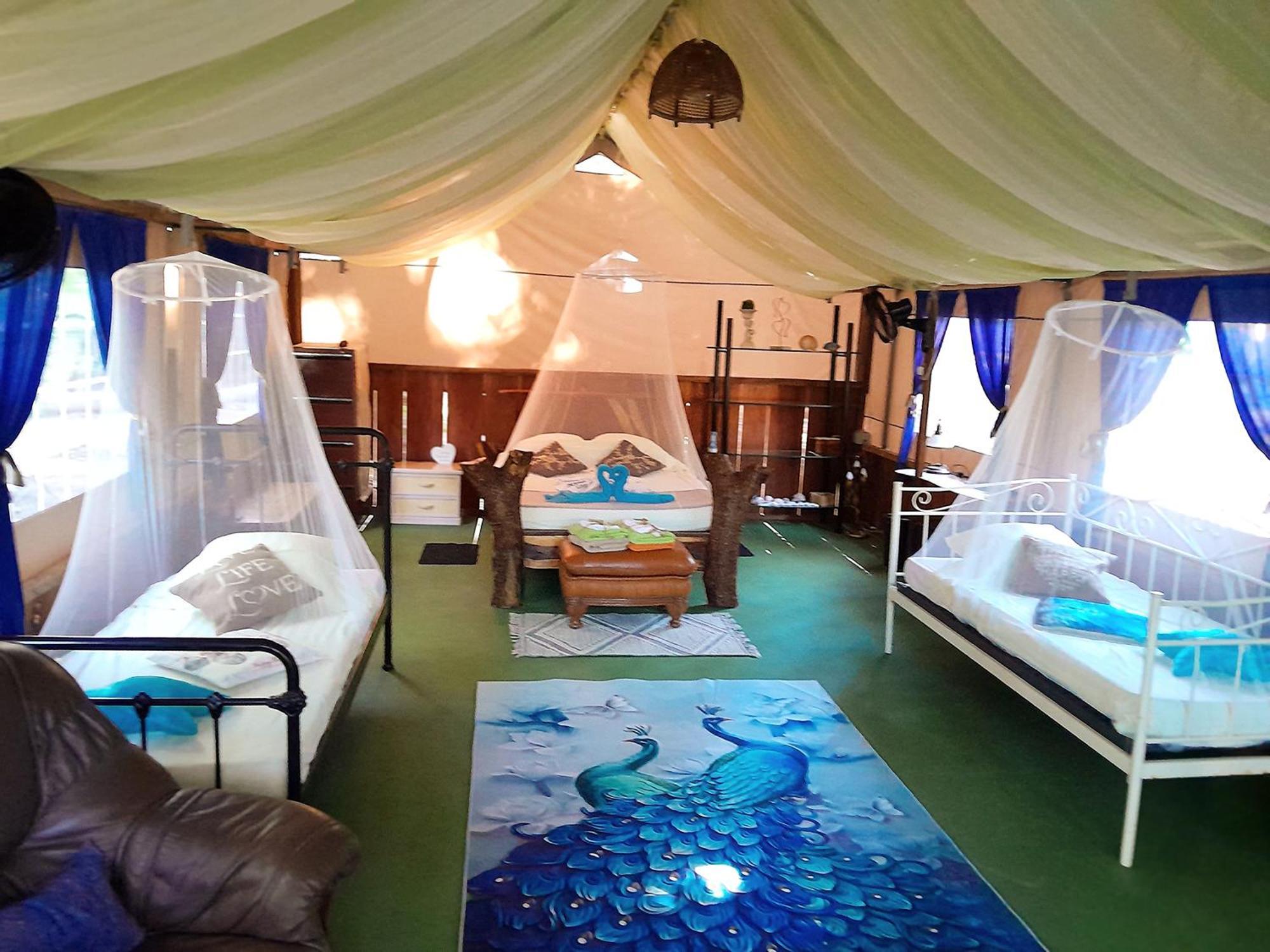 Fully Furnished Family Jungle Tent, Latino Glamping باكيرا المظهر الخارجي الصورة