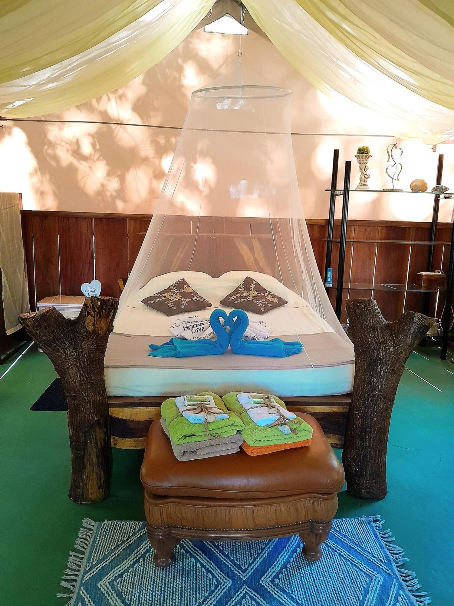 Fully Furnished Family Jungle Tent, Latino Glamping باكيرا المظهر الخارجي الصورة