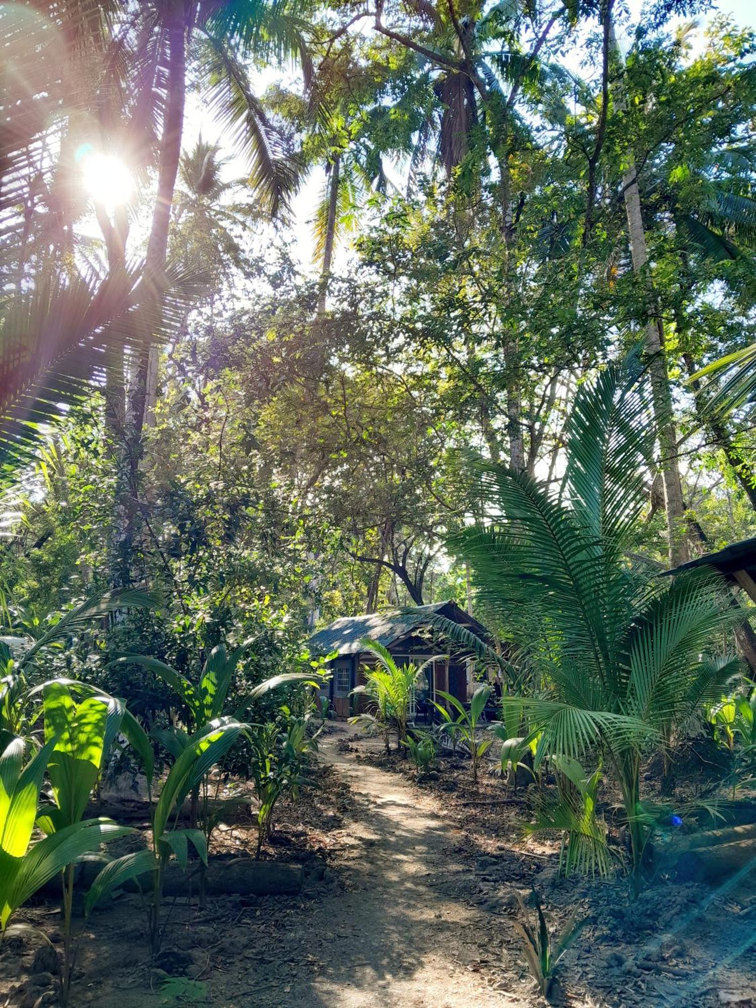 Fully Furnished Family Jungle Tent, Latino Glamping باكيرا المظهر الخارجي الصورة